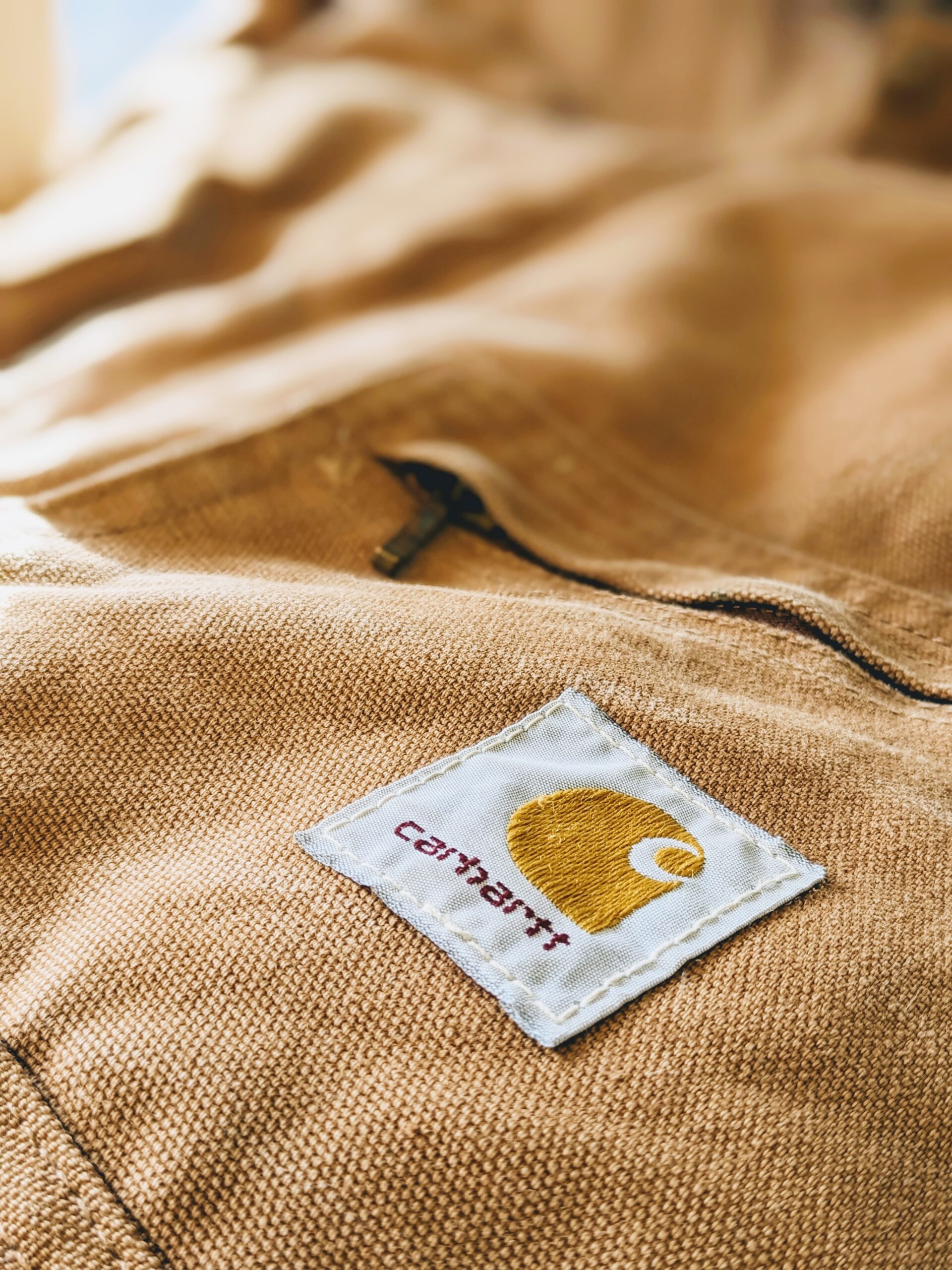 PXL_20230204_234903515.